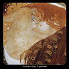 Samsara Blues Experiment : USA 2009 Touredition